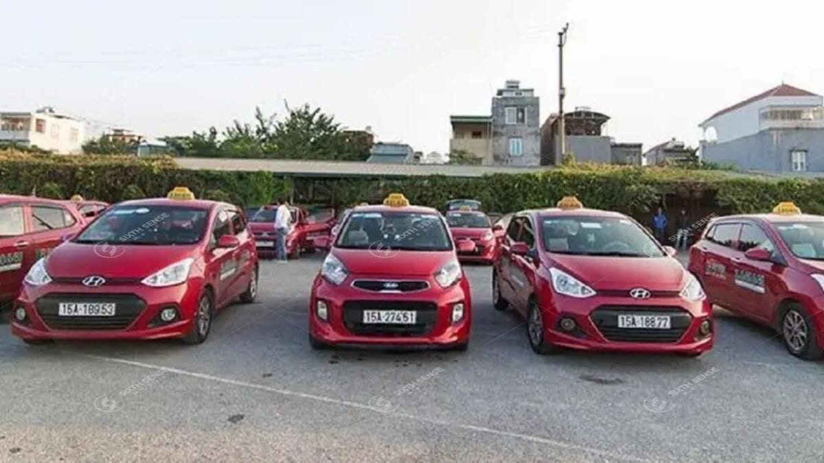 Quảng Cáo Trên Taxi Hoa Phượng Đỏ Hải Phòng