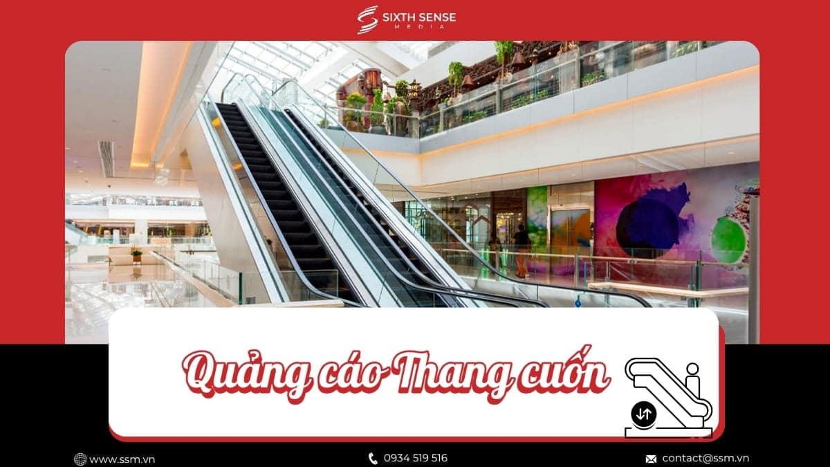 Báo Giá Quảng Cáo Thang Cuốn Tại Siêu Thị, Trung Tâm Thương Mại 2026