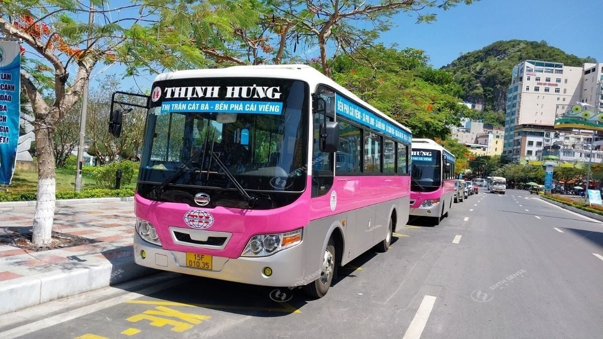Các Tuyến Xe Bus Hải Phòng Có Thể Lựa Chọn Quảng Cáo Năm 2026
