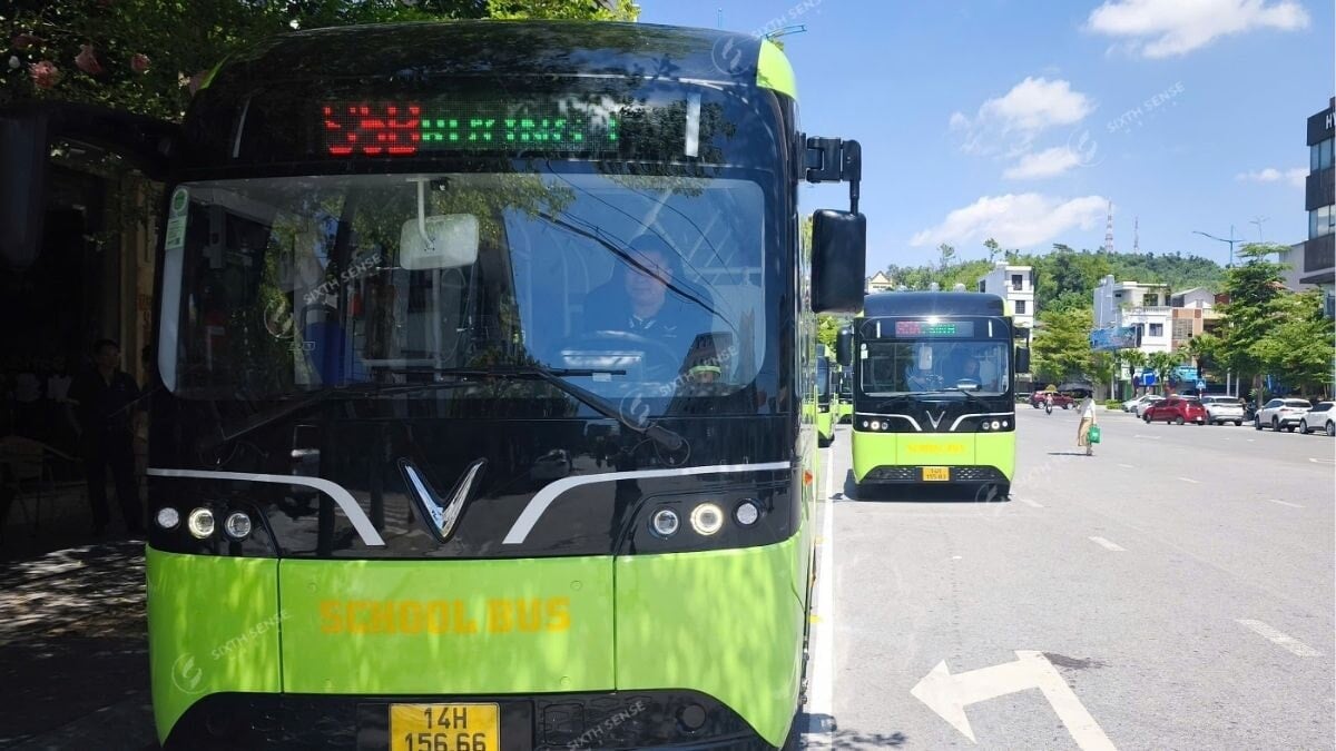 Quy Trình Triển Khai Quảng Cáo Trên Xe Bus Tại Quảng Ninh