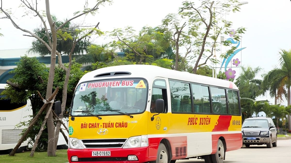 Tổng Quan Mạng Lưới Xe Bus Đang Hoạt Động Tại Quảng Ninh