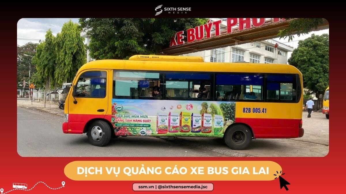 Quảng Cáo Xe Bus Gia Lai: Hình Thức, Tuyến Xe, Báo Giá 2026