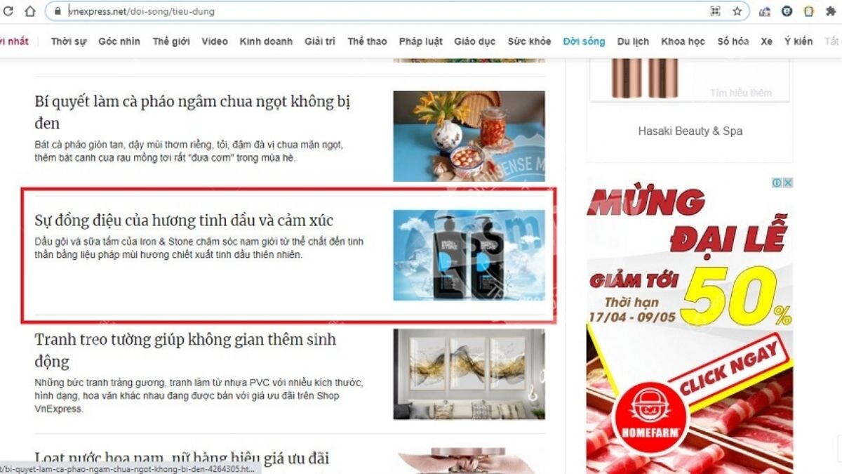 Dich Vu Viet Bai Pr (11)